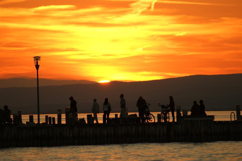 Die Pension Reeh Podersdorf am See Dış mekan fotoğraf